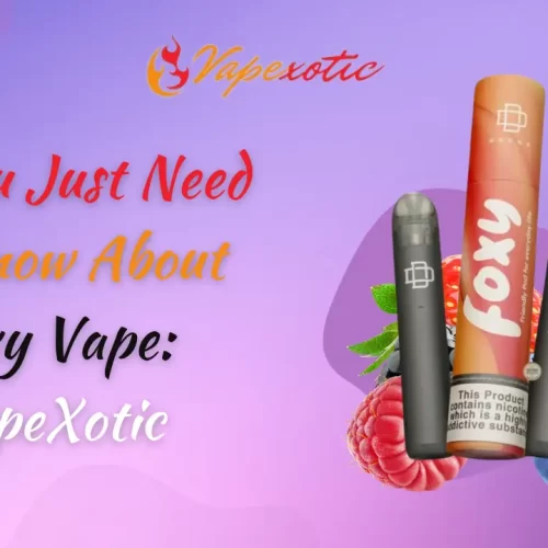 All You Just Need To Know About Foxy Vape: VapeXotic